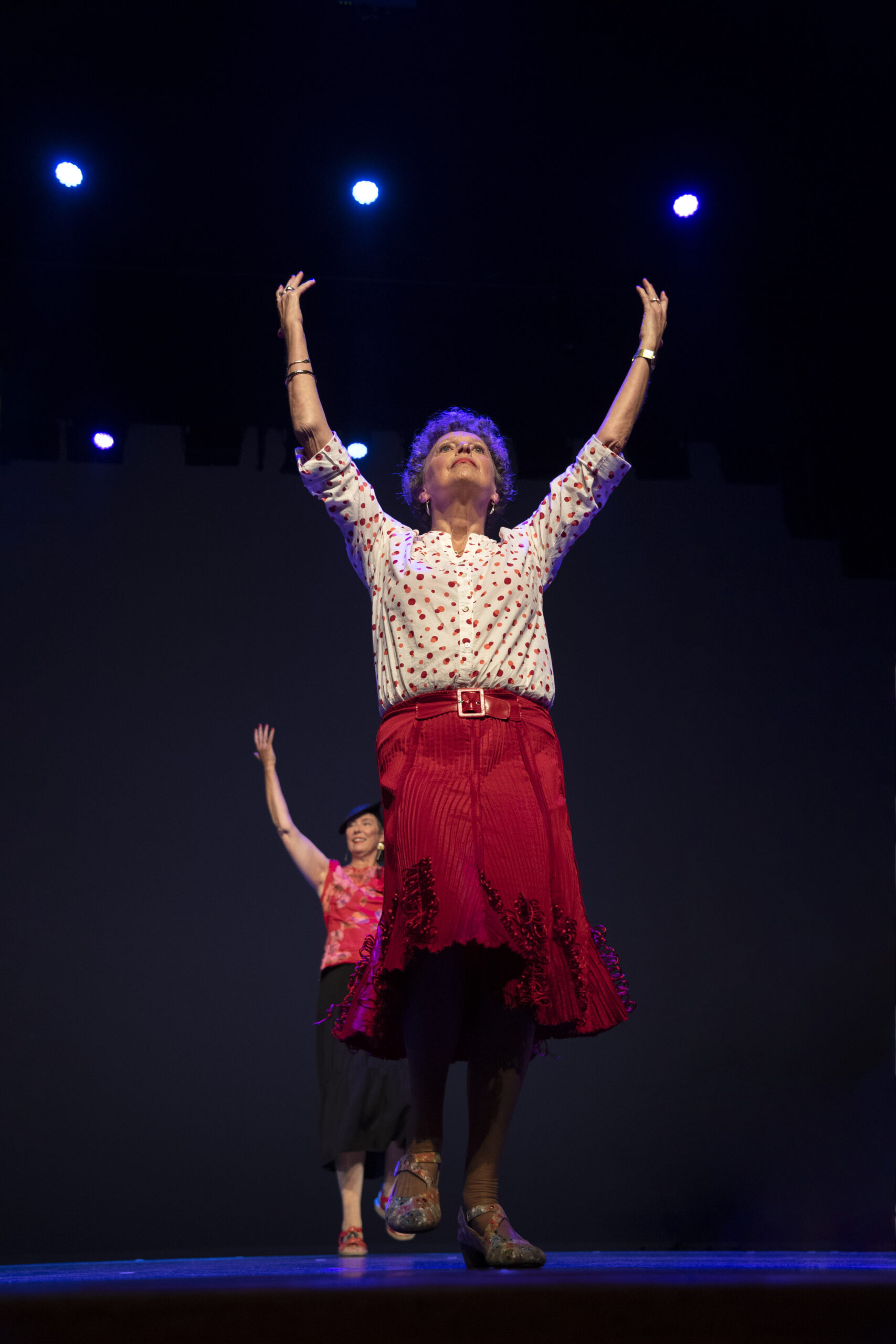 categorie sociaal-maatschappelijk